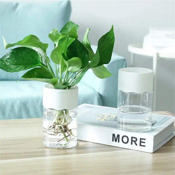 Mini Hydroponic Flower Pot Home Vase Pack Of 2 - Opia Store